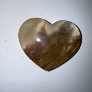 Sagenite Agate (1052)