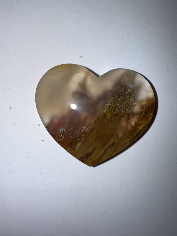 Sagenite Agate (1052)