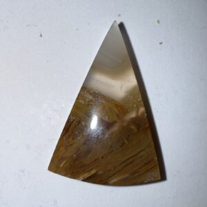Sagenite Agate (1054)