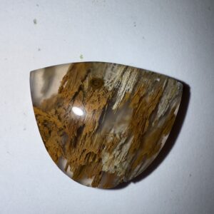 Sagenite Agate (1055)