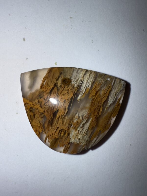 Sagenite Agate (1055)