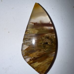 Sagenite Agate (1057)