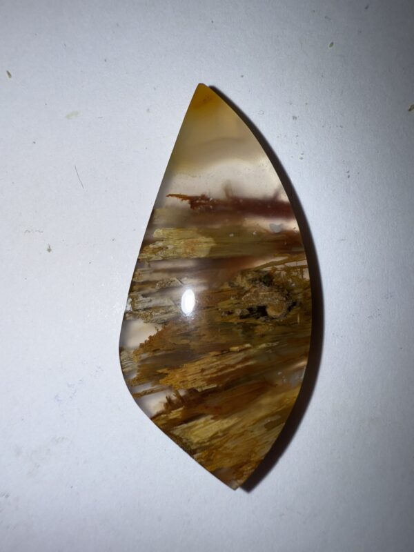 Sagenite Agate (1057)