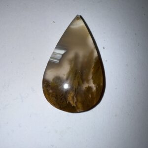 Sagenite Agate (1058)