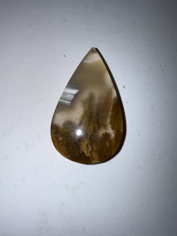 Sagenite Agate (1058)