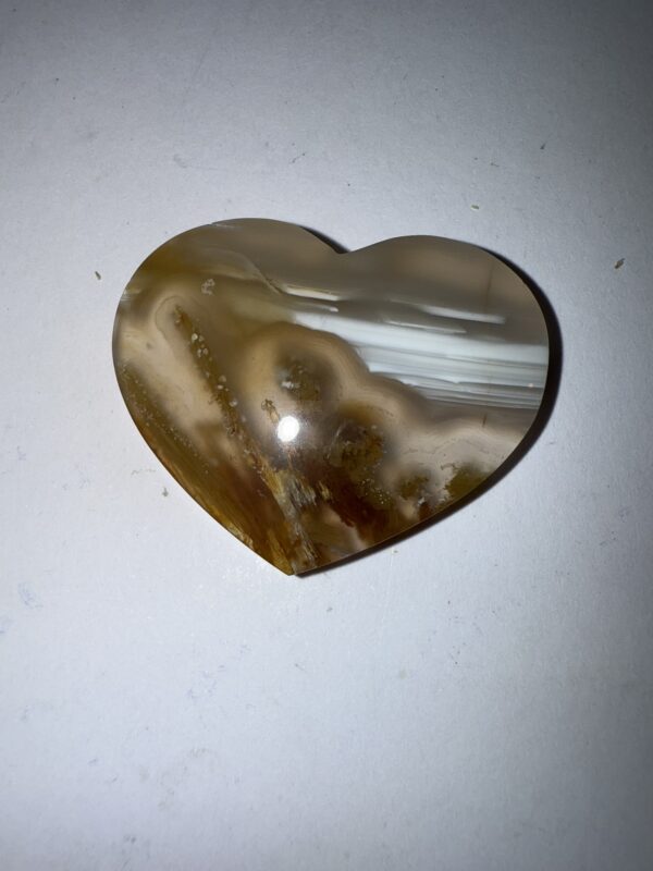 Sagenite Agate (1059)