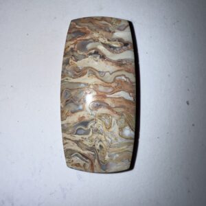 Fossilized Palm (1061)
