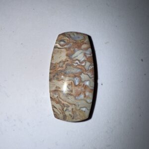 Fossilized Palm (1062)