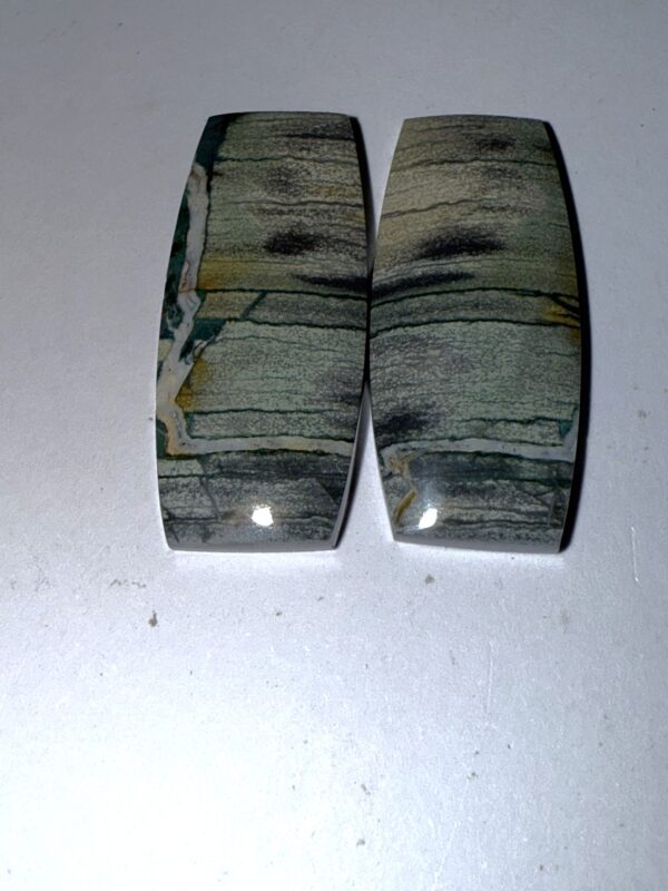 Breciated Jasper Pair (1067)