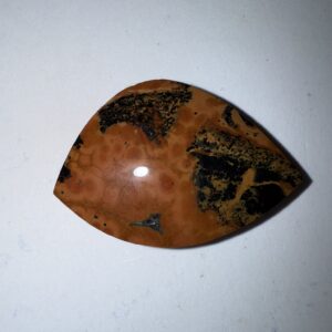 Timor Agate (1070)