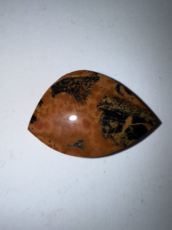Timor Agate (1070)