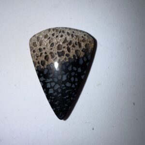 Fossil Palm (1073)