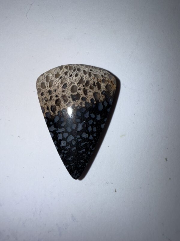 Fossil Palm (1073)