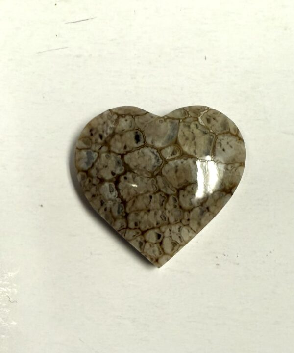 Ternate Plume Agate (1087)