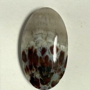 Ternate Plume Agate (1088)