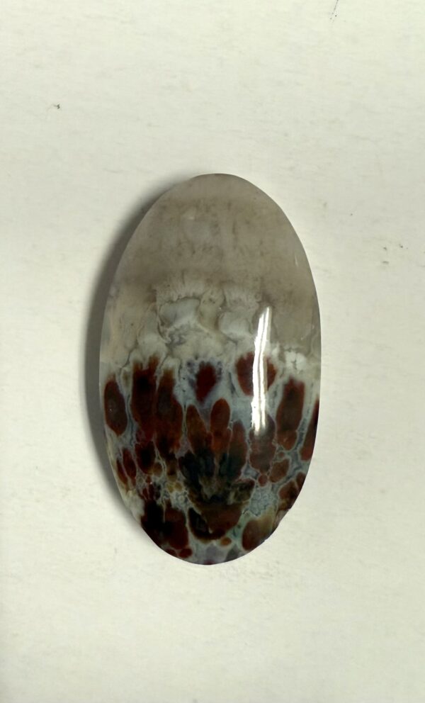 Ternate Plume Agate (1088)