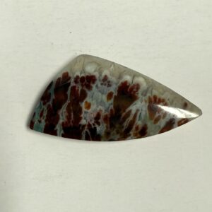 Ternate Plume Agate (1091)