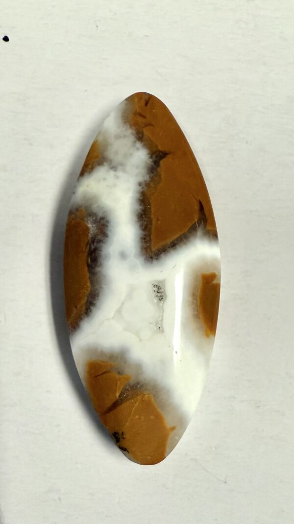 Jasper (1094)