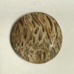Fossil Palm Root (1097)