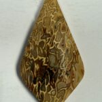 Fossil Palm Root (1098)