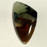 Opalized Wood (1099)