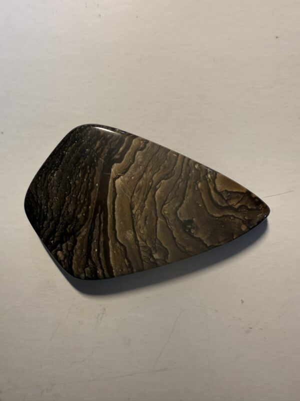Biggs Jasper (440)