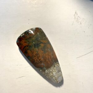 Opalized Petrified Wood (574)