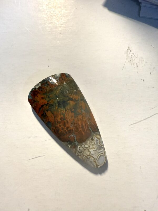 Opalized Petrified Wood (574)