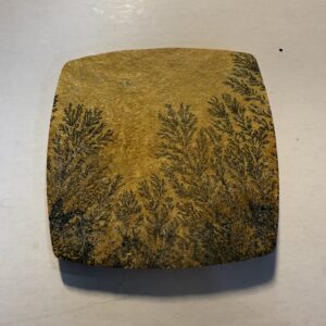 Sohnhofen dendritic limestone  (665)