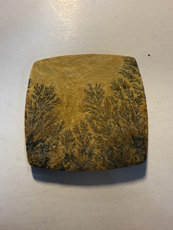 Sohnhofen dendritic limestone  (665)