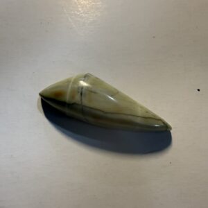 Arcadian Butterstone, So Africa (2500 million years older than dinosaurs) (732)