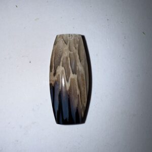 Fossil Palm w agate eyes (972)