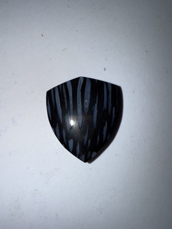 Fossil Palm w agate eyes (973)