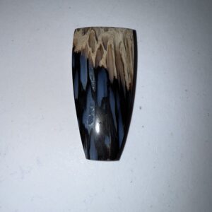 Fossil Palm w agate eyes (974)