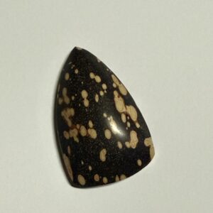 Astronomite Shield cab (106)