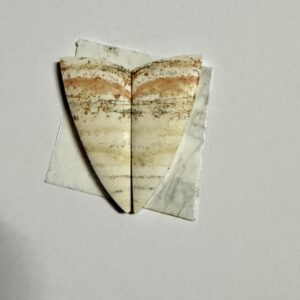 Banded Jasper Pair (845)