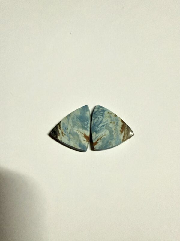 Bayouite Earring Pair (336)