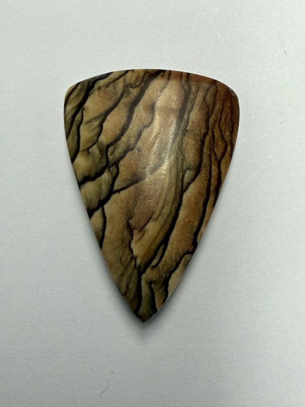 Biggs Jasper (510)