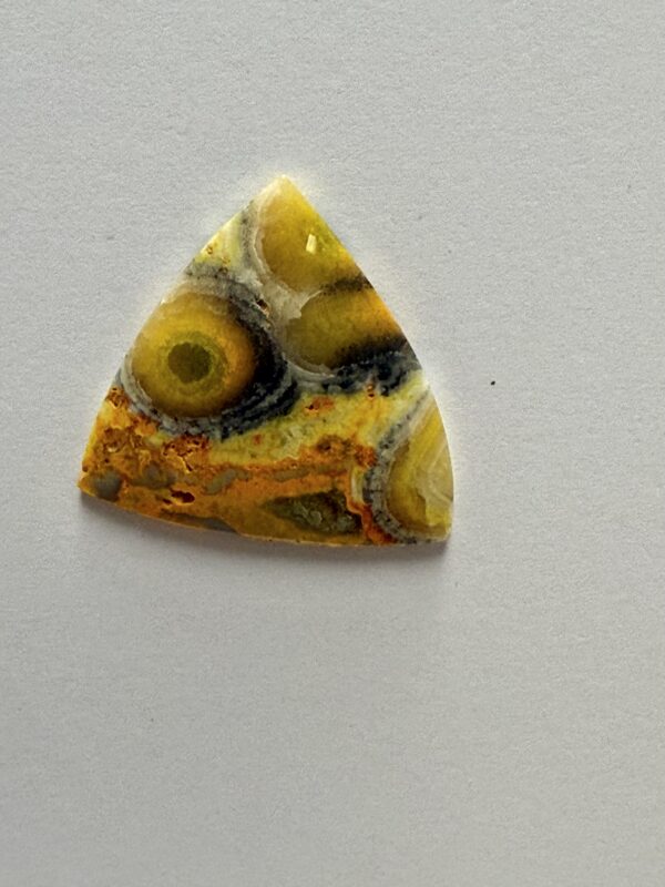 Bumblebee Jasper (235)