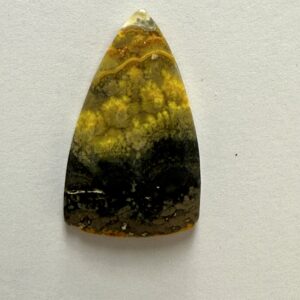 Bumblebee Jasper (135)