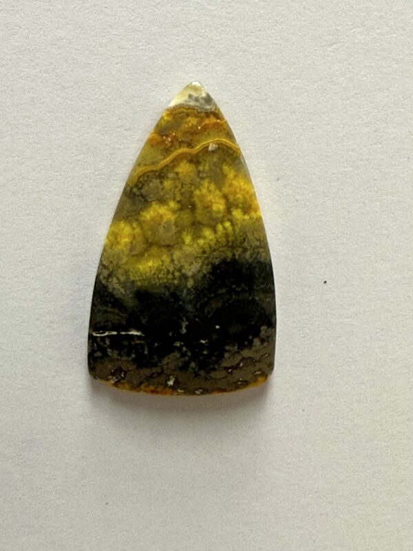 Bumblebee Jasper (135)