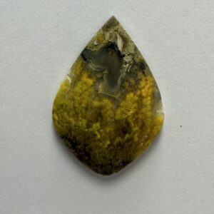 Bumblebee Jasper (175)