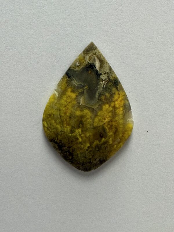 Bumblebee Jasper (175)
