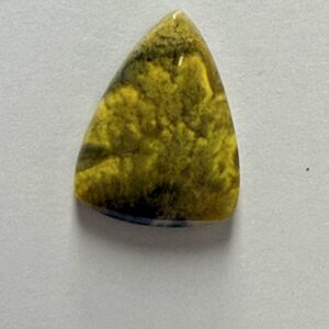 Bumblebee Jasper (245)