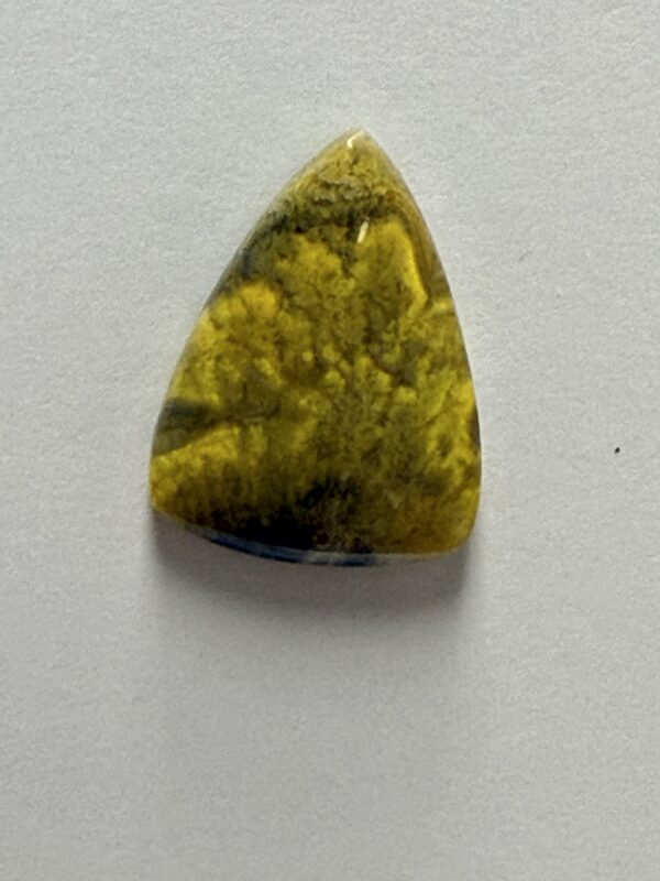 Bumblebee Jasper (245)