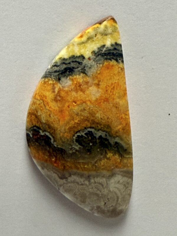 Bumblebee Jasper (392)