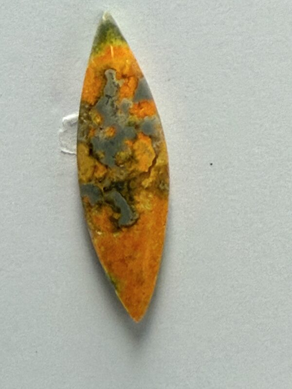 Bumblebee Jasper (458)