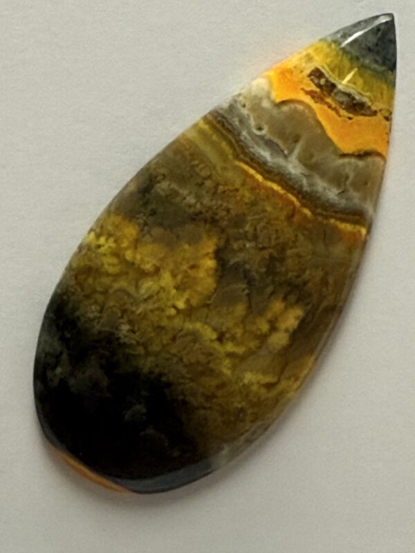 Bumblebee Jasper (398)