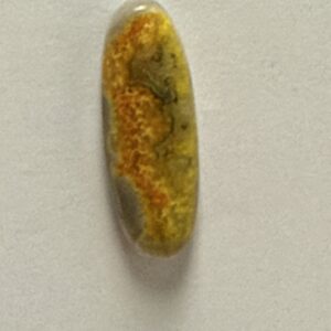 Bumblebee Jasper (530)