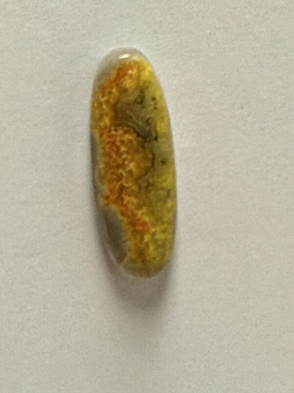 Bumblebee Jasper (530)